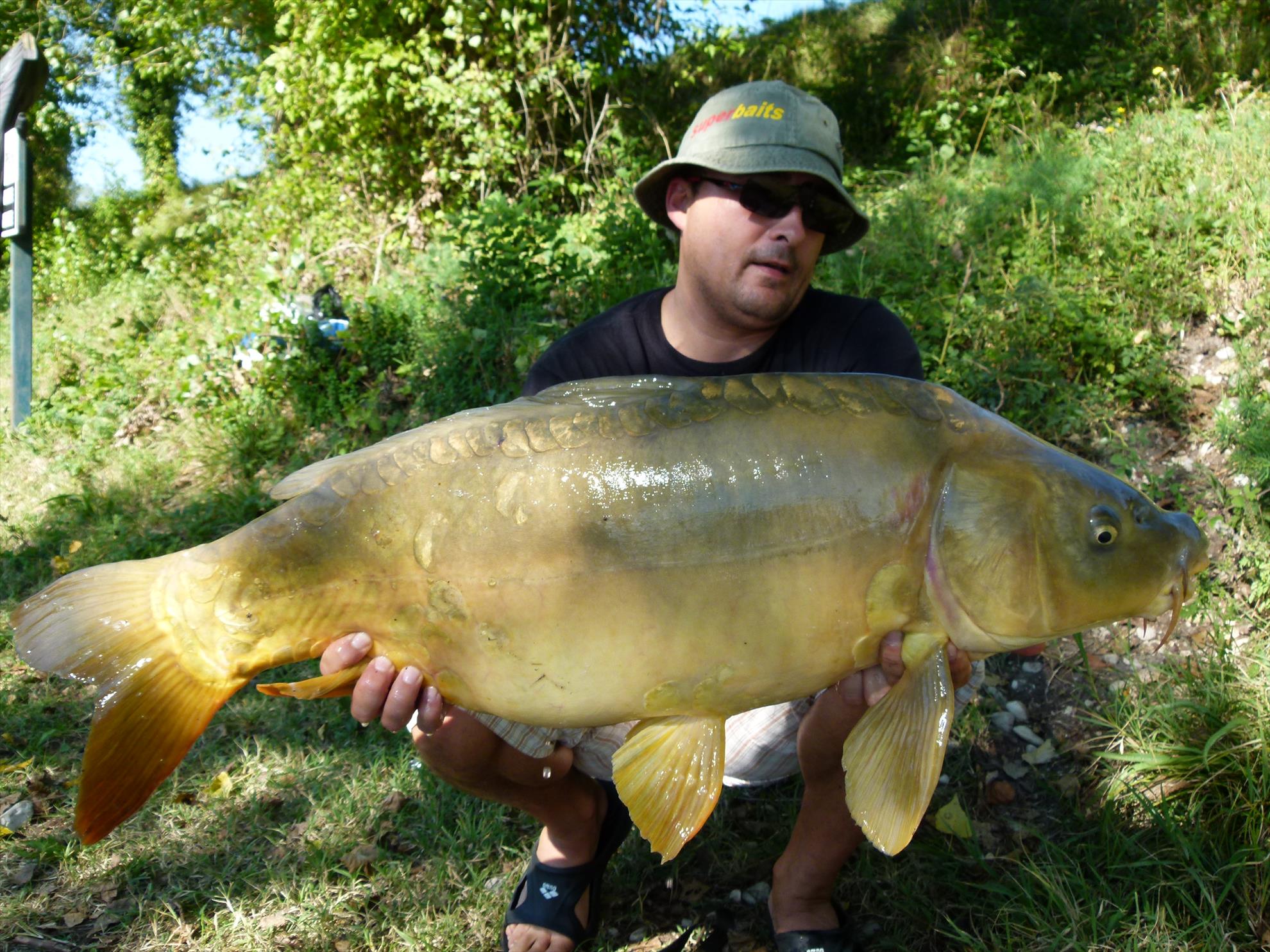 regiune Rhône-Alpes 24 - 24 sep. - p1030953.JPG